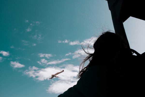 la puissance de la visualisation